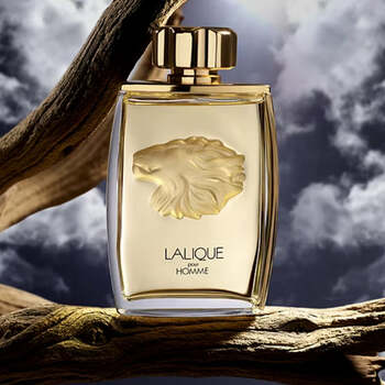 Pour Homme Lion EDP